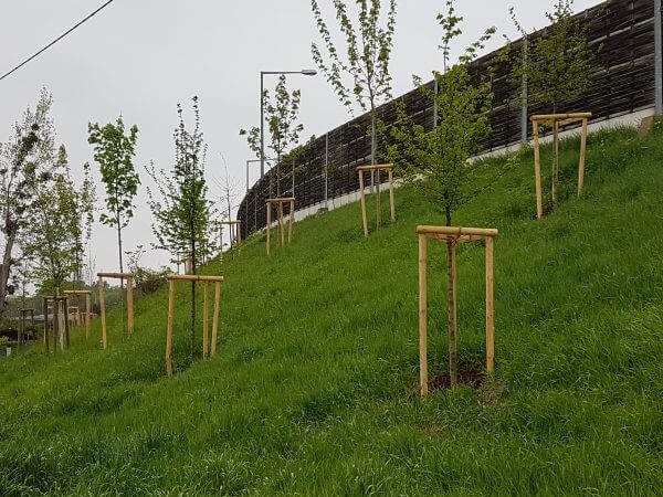 Baumpflanzungen Knoten Prater