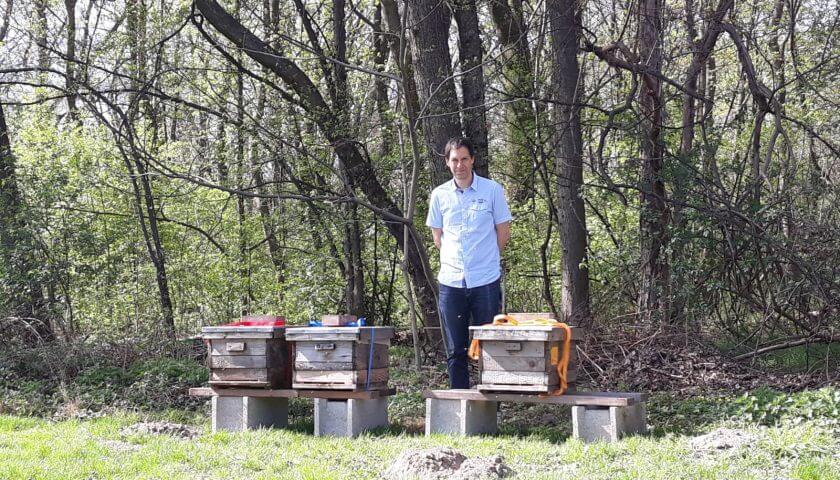 Bio-Bienen im Prater