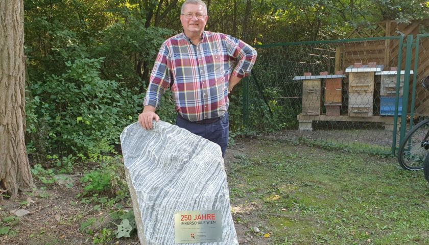 Albert Schittenhelm, Präsident des Wr Landesverbandes