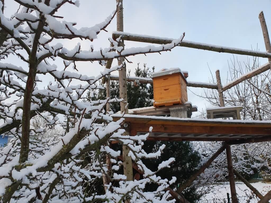 Bienen im Winter