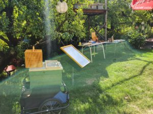 Tag des offenen Bienenstocks