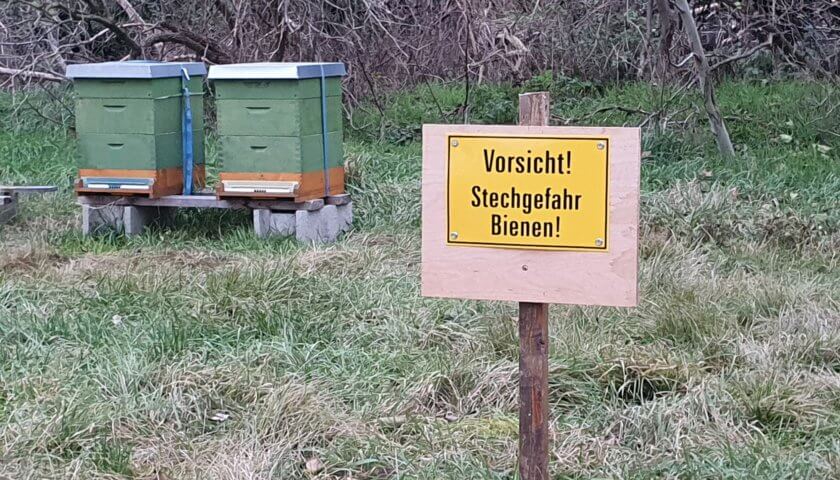 Achtung Bienen – Stechgefahr!
