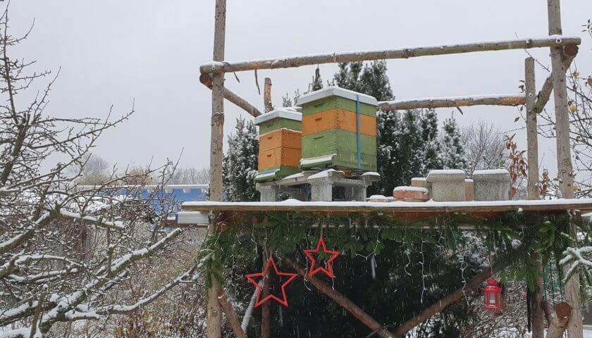 Bienenstöcke im Winter