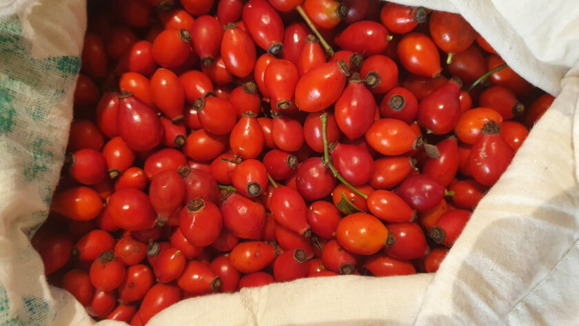 Hagebutten und Dirndl für den Winter – Wiener Prater-Honig – feinster ...